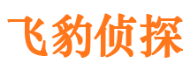 远安市私家侦探